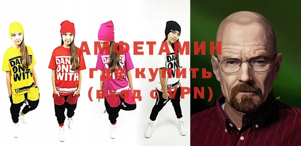 индика Богородицк