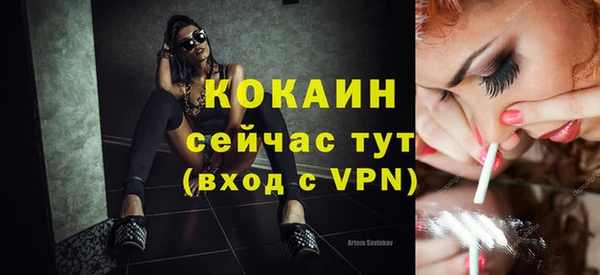 индика Богородицк