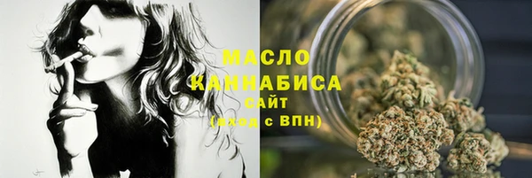 индика Богородицк