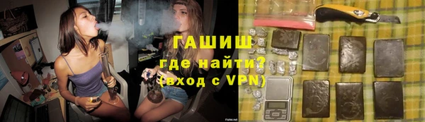 индика Богородицк