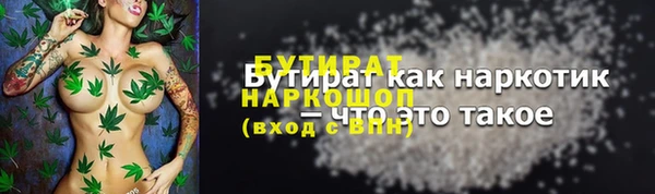 индика Богородицк
