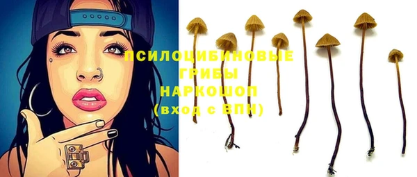 mdpv Богданович