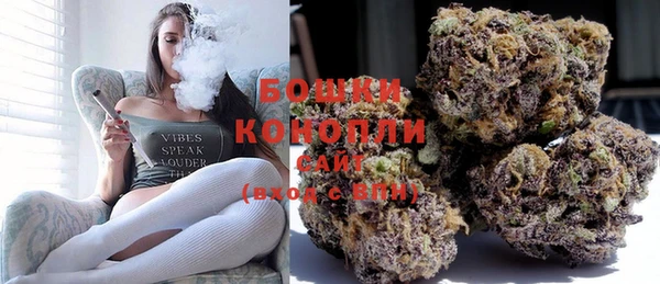 индика Богородицк
