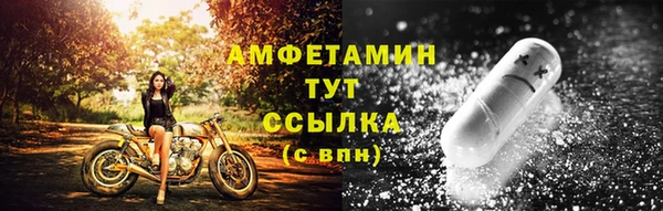 индика Богородицк