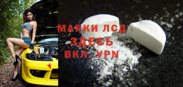 индика Богородицк
