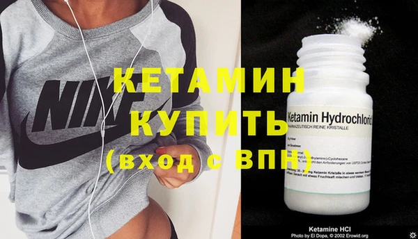 индика Богородицк