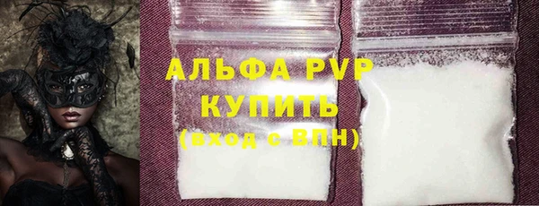индика Богородицк