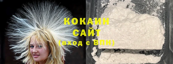 индика Богородицк
