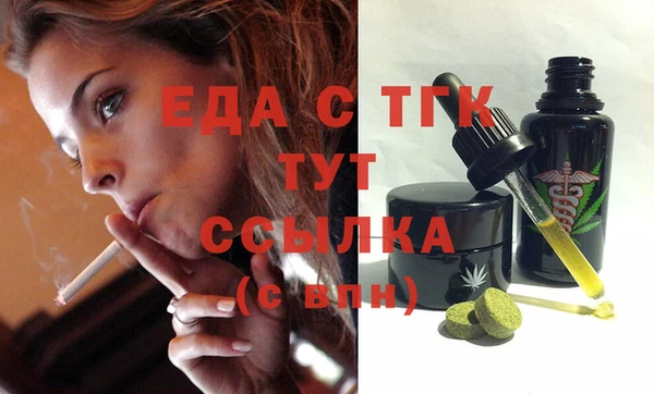 индика Богородицк
