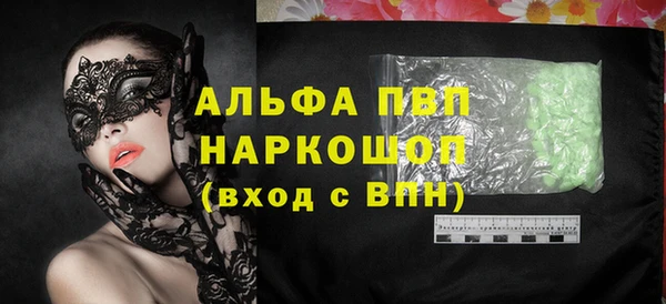 индика Богородицк