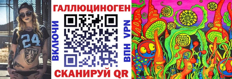 где можно купить   Будённовск  Галлюциногенные грибы GOLDEN TEACHER 