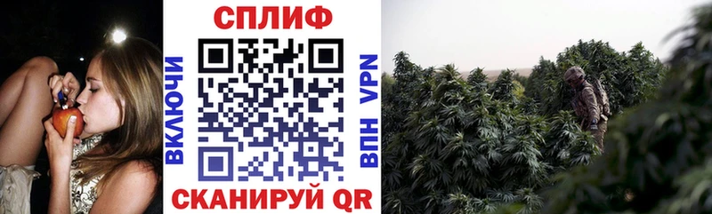 Бошки Шишки White Widow  ссылка на мегу ССЫЛКА  Будённовск 